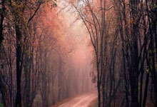 11球16助！巴萨17岁巨星太神了：禁区1V3过人送助攻，堪称艺术品.