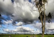 武磊身價跌至300萬歐 位列中國球員第二位.