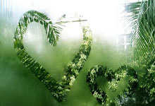 赏金船长：死亡之組！法德葡16強戰全部出局.