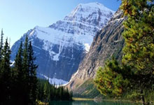 赏金船长官网：浙江隊不設定地域限制！可能在省內體育場舉行比賽！.