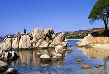 NBA比賽 recap 莫蘭特復出貢獻27分7助攻 JJJ拿下23分8籃板 鵜鶘無緣勝利 灰熊戰勝對手.